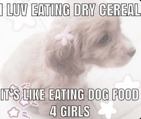 I LUV EATING DRY CEREAL