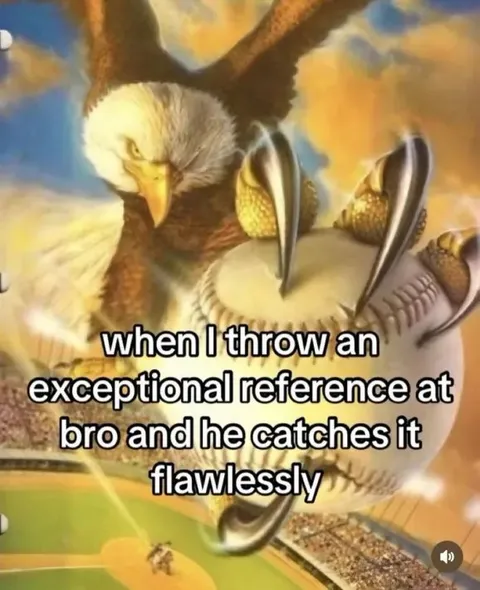 When Bro Catches the Reference
