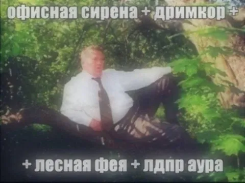 Офисная сирена в лесу