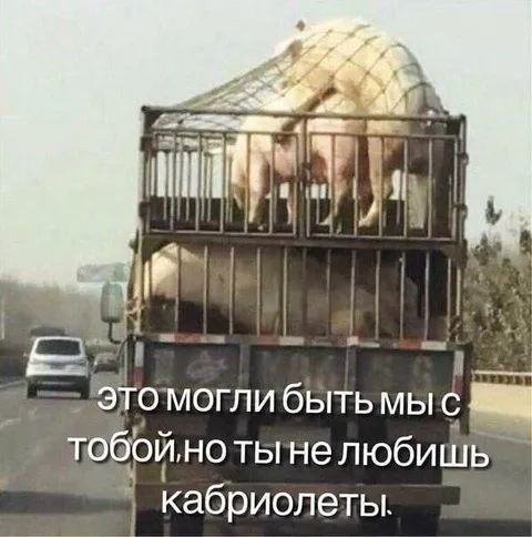 Мы с тобой, но без кабриолетов