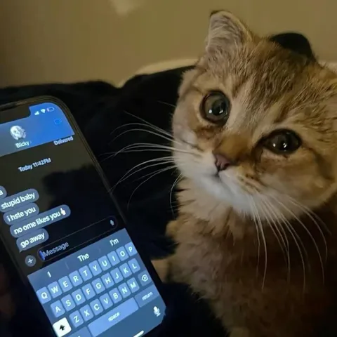 Cat Reads Mean Texts