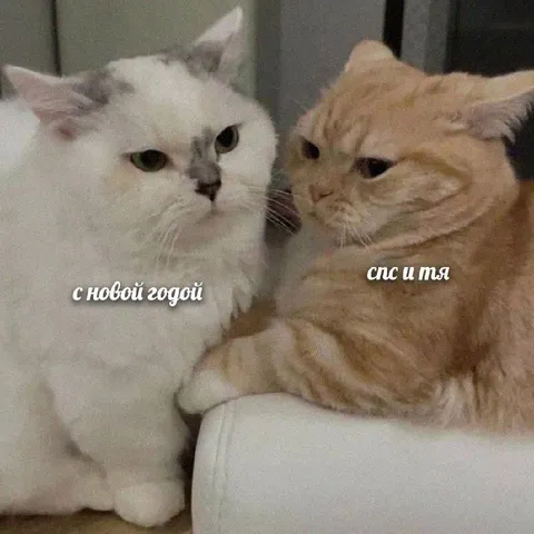 С новой годой — спс и тя