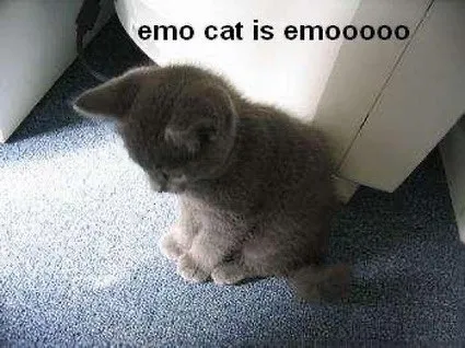 Emo Cat Is Emo