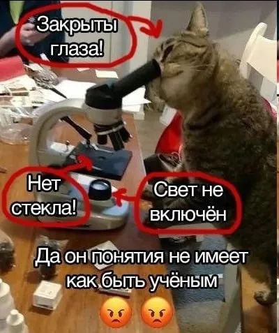 Кот не умеет быть учёным