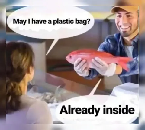 Already Inside Plastic Bag
