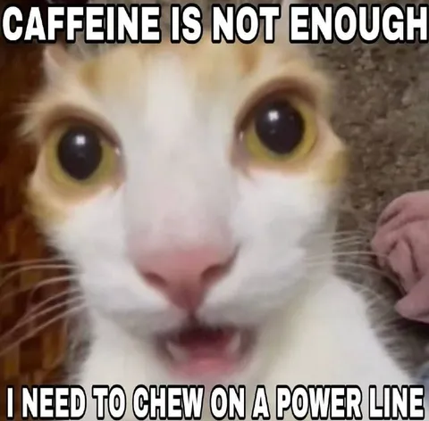 Caffeine Is Not Enough
