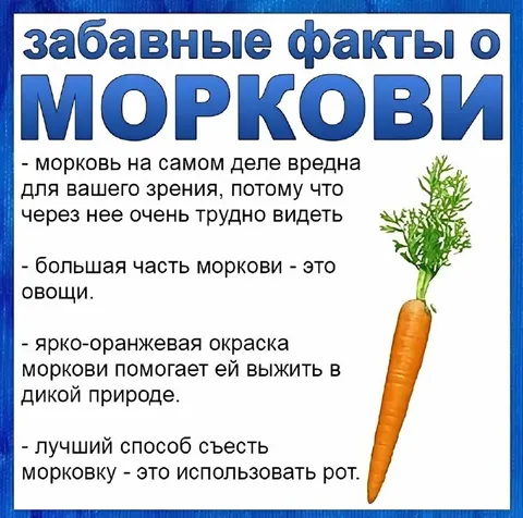 Забавные факты о моркови
