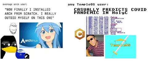 TempleOS user predicts COVID pandemic