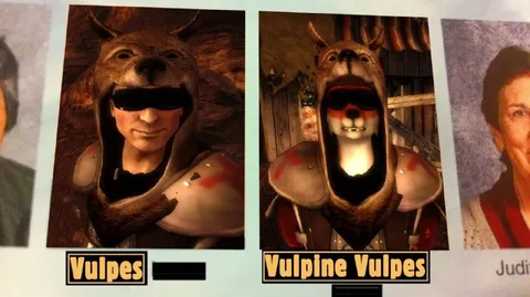 Vulpes Vulpine Vulpes