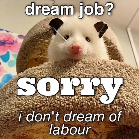 Hamster Rejects Dream Job
