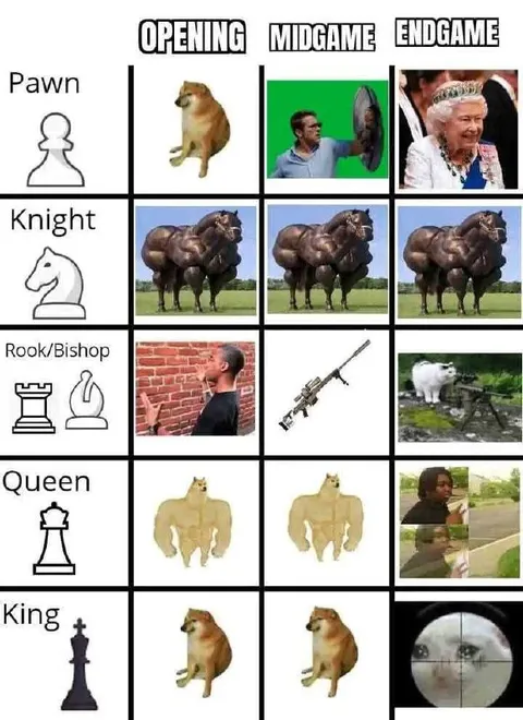 Chess Pieces Through the Game