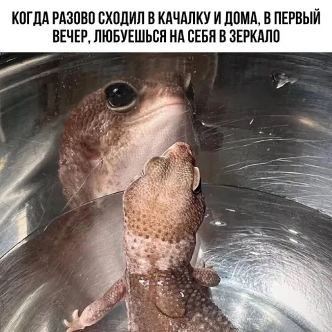 Любование собой после качалки