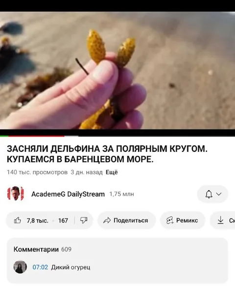 Дикий огурец вместо дельфина