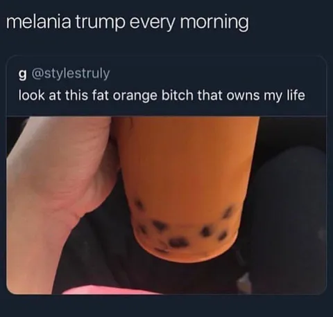 Melania Trump Every Morning
