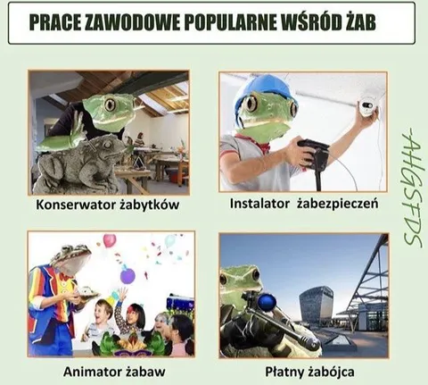 Popularne zawody wśród żab
