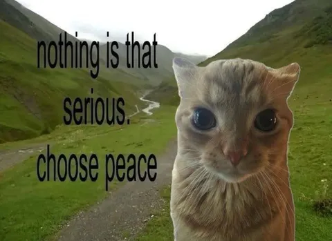 Nothing Is That Serious Choose Peare