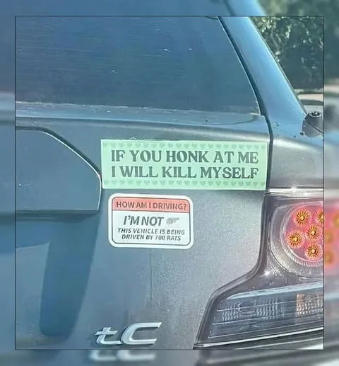 Car Driven by 700 Rats