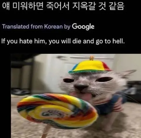 미워하면 지옥 가는 고양이