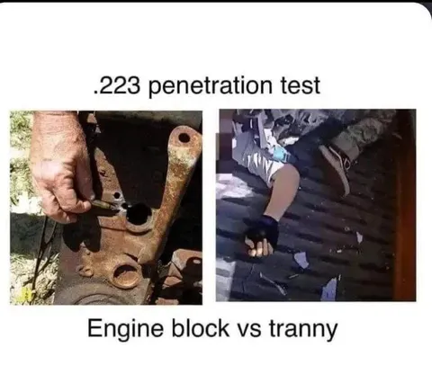 .223 Penetration Test: Engine Block vs Tranny