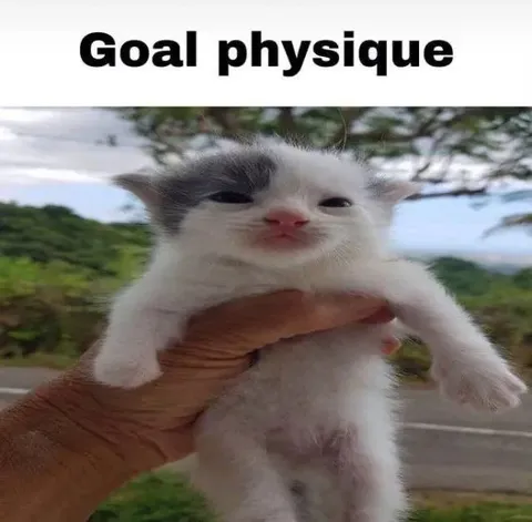 Goal physique kitten