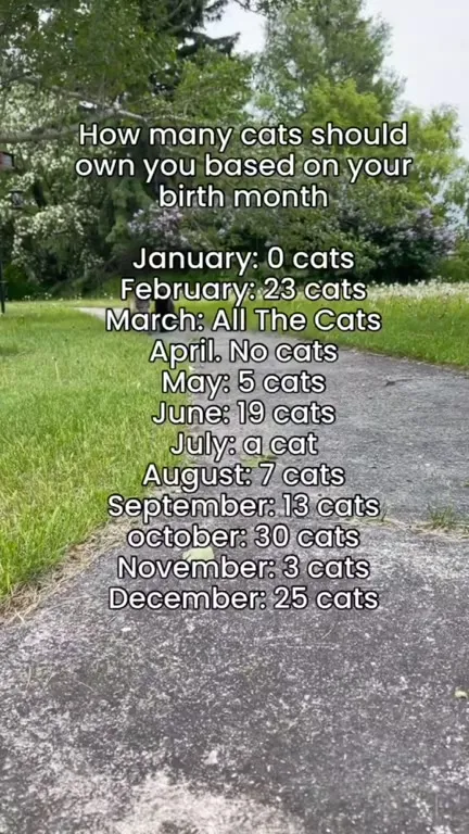Cats You Should Own by Birth Month