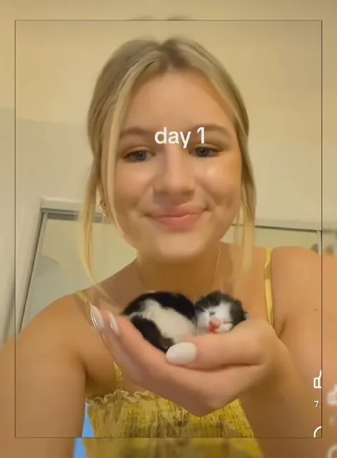 Day One With Tiny Kittens