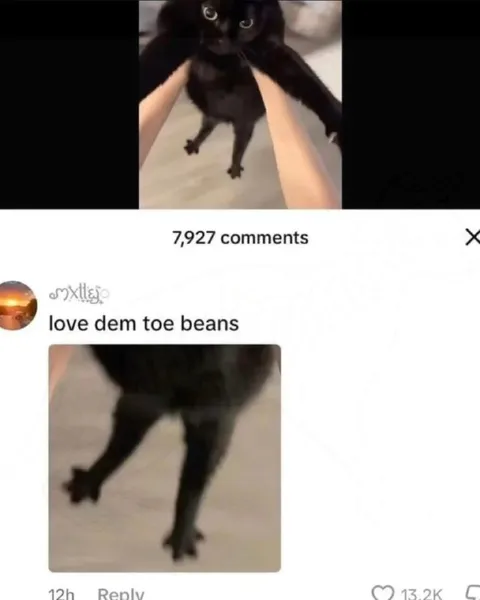 Love Them Toe Beans