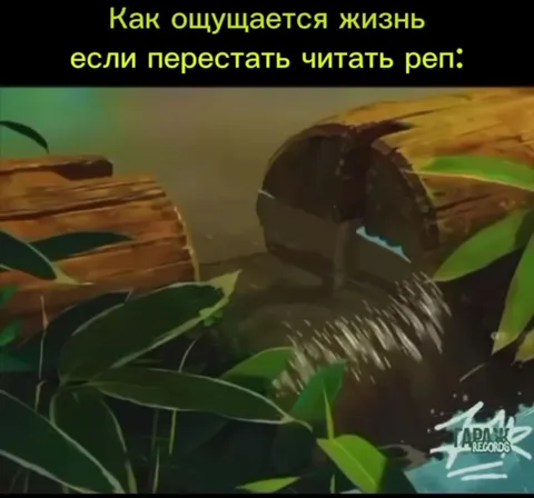 Жизнь без чтения рэпа