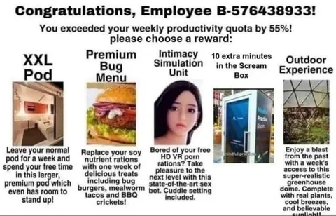 Employee Productivity Rewards