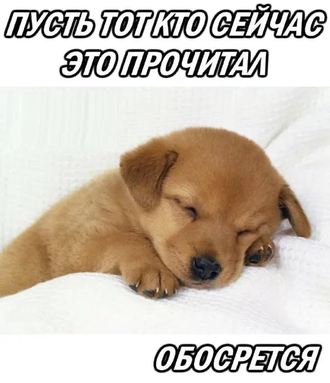 Пусть тот кто прочитал обосрется