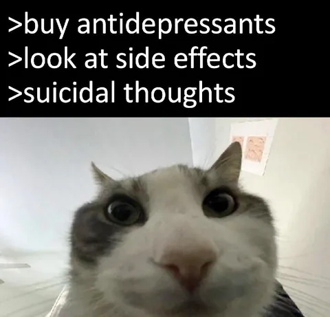 Antidepressant Side Effects Cat