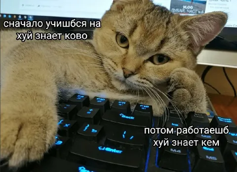Сначала учишься, потом работаешь