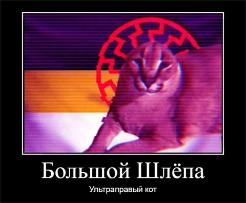 Большой Шлёпа ультраправый кот