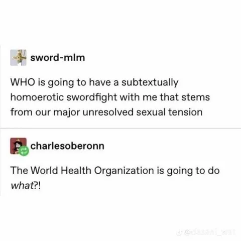 World Health Organization Swordfight