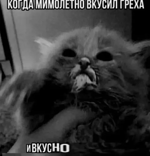 Когда вкусил греха