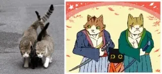 Коты идут своей бандой