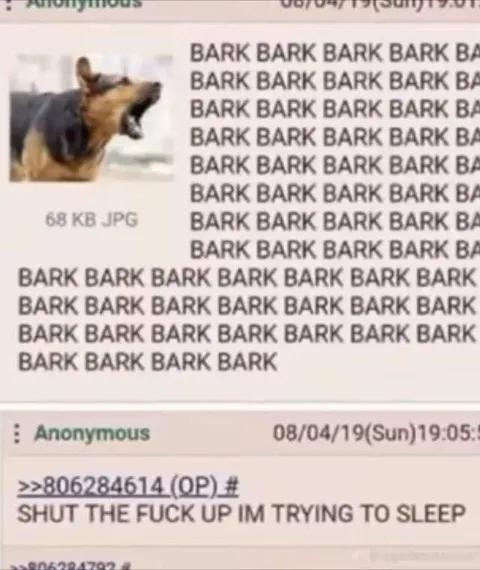 Dog Barks While Sleeping