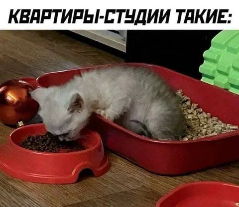 Квартиры-студии такие