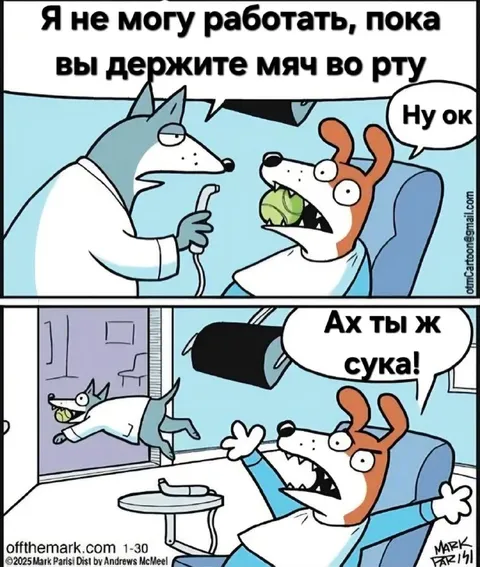 Мяч во рту мешает работать