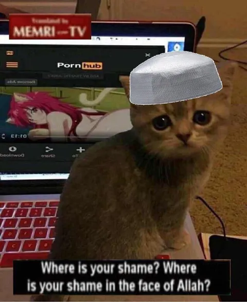 Cat’s Shame Before Allah