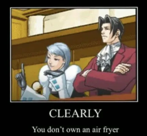 Clearly You Don't Own an Air Fryer
