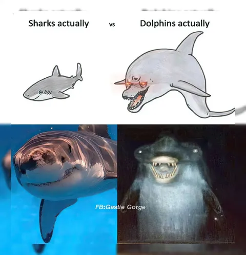 Sharks Actually vs Dolphins Actually