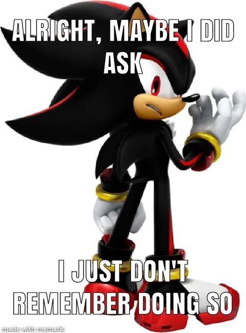 Shadow Doesn't Remember Asking