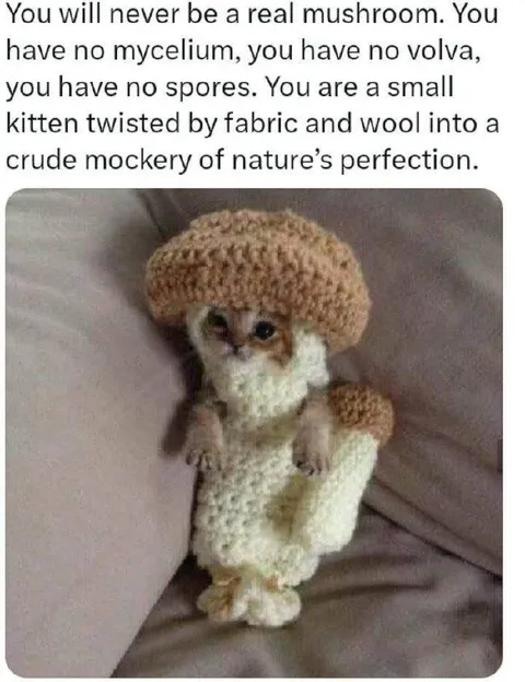 Kitten Pretending to Be a Mushroom