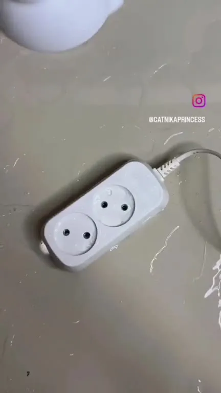 Cat Learns About Electricity