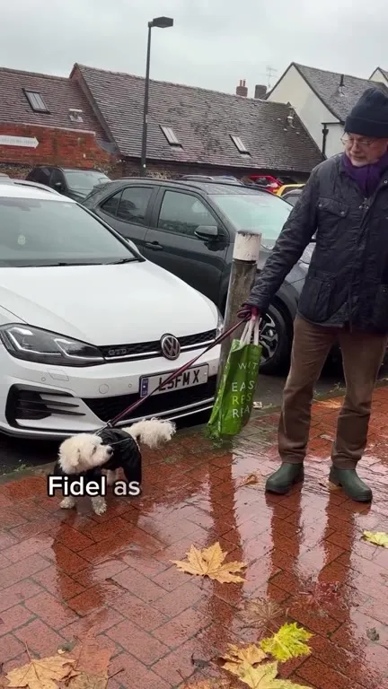 Fidel the Castrated Dog