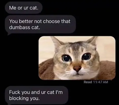 Choose Me or Your Cat