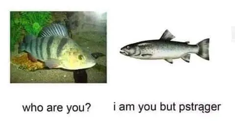 I Am You But Pstrager