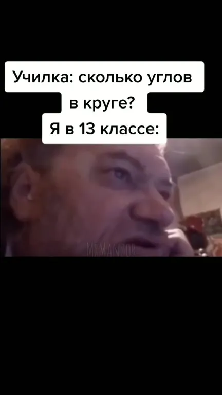 Углы в круге в 13 классе