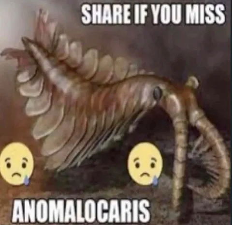 Share If You Miss Anomalocaris